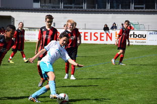 九游体育入口-未来足球场馆实现“碳中和”目标，绿色科技应用成果显著